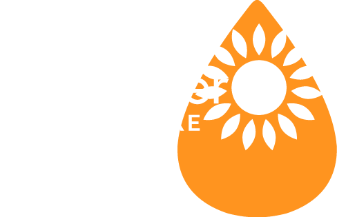 Sunflower by Century Communities From the Low $600s